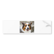 Jayke Bumper Sticker