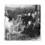 Jazz Music and Dancing for the Bears Fridge Magnet