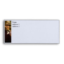 Jazz Trumpeter envelopes