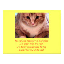 Jazzpurr M-Cat Bass posters