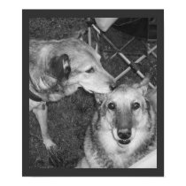 jazzy kissing cb posters by cam73my jazzy kissing cb posters