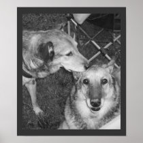 jazzy kissing cb posters