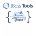 JBoss Tools Tech Shirt v3