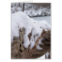 JC - Cream on Tree II cards