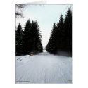 JC - Route to WInter Wonderland cards