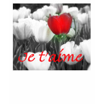 Je t'aime T-shirt by punkiebunnies Je t'aime T-shirt