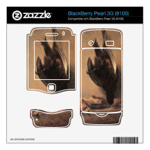 Jean Chardin - Still Life with Dead Pheasant and H BlackBerry Skin