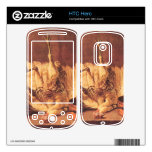 Jean Chardin - Still Life with turkey Skin For HTC Hero