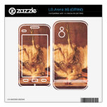 Jean Chardin - Still Life with turkey Decals For LG Arena 3G