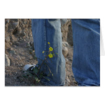 Jeans and Flowers cards by PhotoOps Jeans and Flowers cards