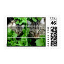 Jebadiah lV Postage Stamp