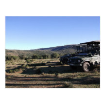 Jeep landscape Safari Postcard