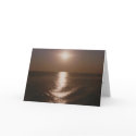 Jeff Price sunset cards