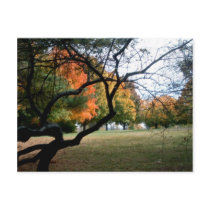 Jefferson Barracks Post Cards