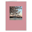 Jefferson Memorial cards