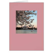 Jefferson Memorial cards