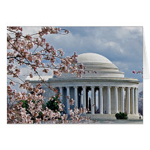 Jefferson Memorial - Cherry Blossoms Greeting Cards