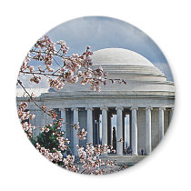 Jefferson Memorial - Cherry Blossoms Fridge Magnet