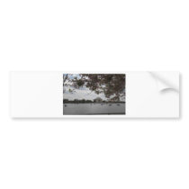 Jefferson Memorial During Cherry Blossom Festival Bumper Sticker