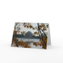 Jefferson Memorial in the Fall cards