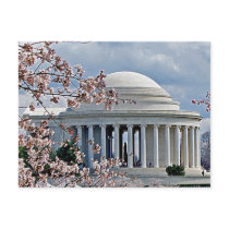 Jefferson Memorial PostCard by cityphotos Jefferson Memorial PostCard