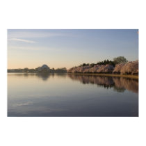 Jefferson Memorial Tidal Basin posters