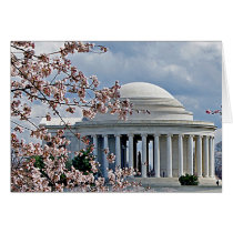Jefferson Merial - Cherry Blossoms Greeting Cards