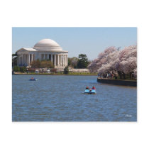 Jefferson Merial Washington DC Postcards