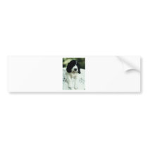 Jefferson the Basset/Border designer dog Bumper Sticker
