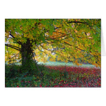 Jehovah-rapha Greeting Cards