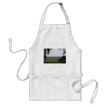 Jekyll Island Apron