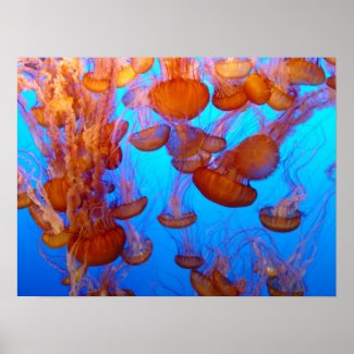 Jellies Pile-Up Poster print