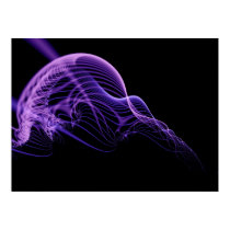 Jellies posters by JasonWarren Jellies posters