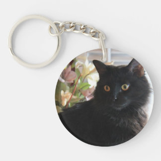 jelly cat key chain