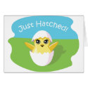 Jelly Bean the Chick - Just Hatched! cards by ButtermilkBiscuits Jelly Bean the Chick - Just Hatched! cards