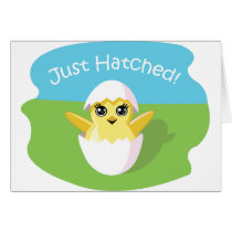Jelly Bean the Chick - Just Hatched! cards