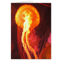 Jelly Fish 4 Card