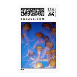 Jelly Fish Bunch - Postage Stamp