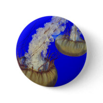 jelly fish buttons