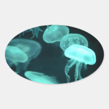 jelly fish glowing sticker