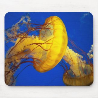 Jelly Fish MP mousepad