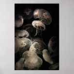 Jelly Fish Print