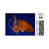 Jelly Fish Stamp stamps