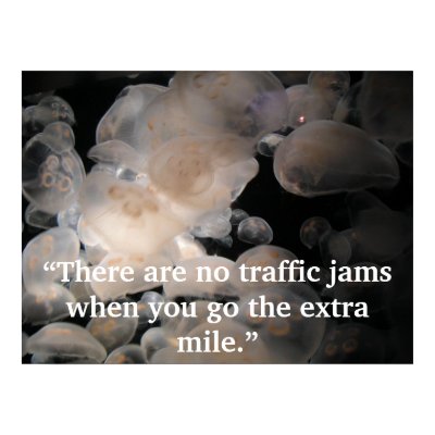 Jelly Jam Poster by Accidentalphoto