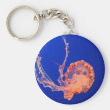 jelly key chain