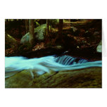 Jelly Mill Falls cards