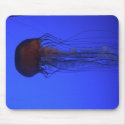 JELLY mousepads by tauheedah JELLY mousepads