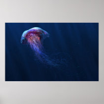 jelly, jellyfish, undersea, underwater, ocean, Cartaz/impressão com design gráfico personalizado