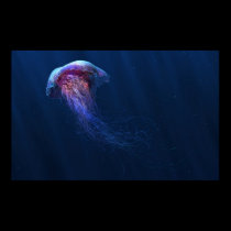 Jelly posters