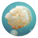 Jelly stickers